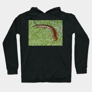 Hawaiian centipede Hoodie